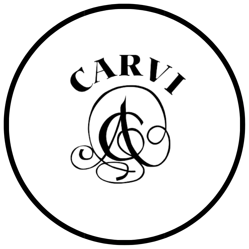 logo carvi